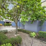 12/2404 Logan Road, Eight Mile Plains QLD 4113- garden area