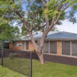 81 Wembley Road, Logan Central QLD 4114 - Backyard 2